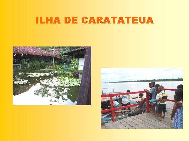 ILHA DE CARATATEUA 