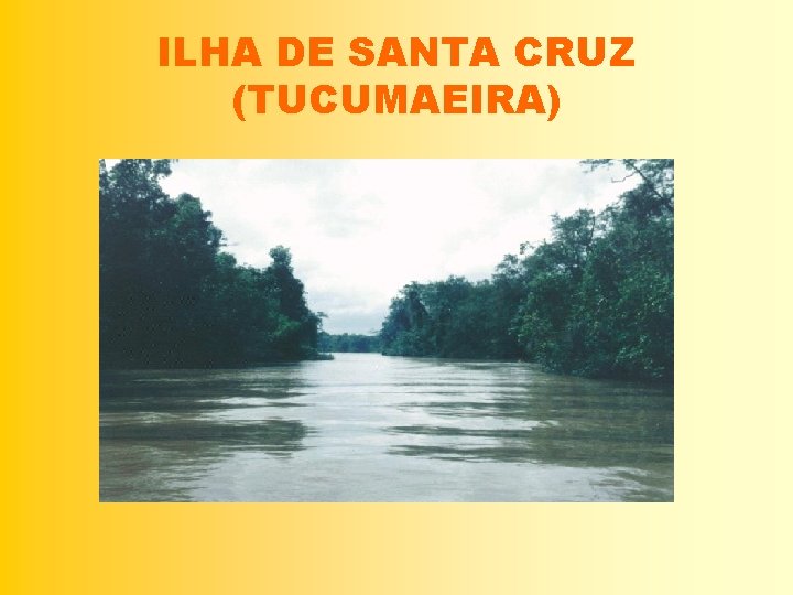 ILHA DE SANTA CRUZ (TUCUMAEIRA) 