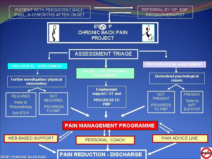 PATIENT WITH PERSISTENT BACK PAIN, 3 -12 MONTHS AFTER ONSET REFERRAL BY GP, ESP,