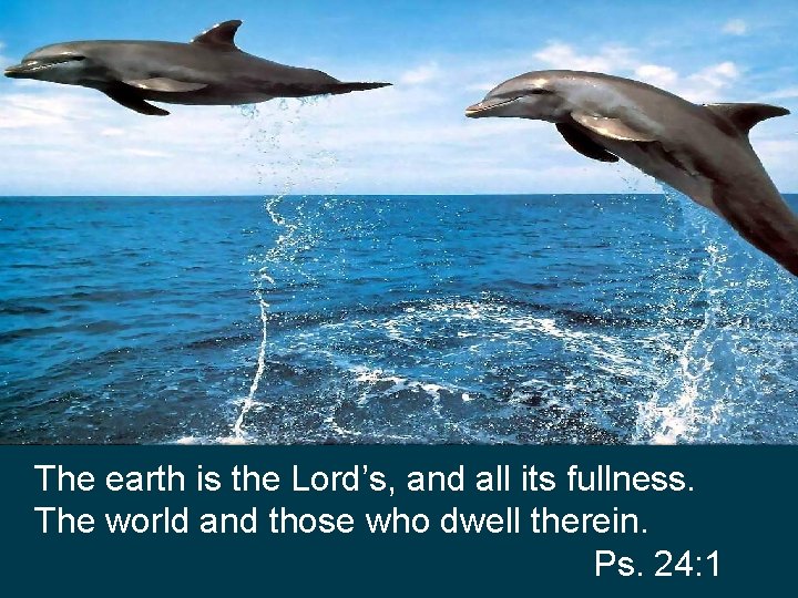 The earth is the Lord’s, and all its fullness. The world and those who