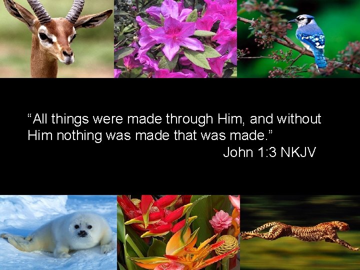 “All things were made through Him, and without Him nothing was made that was