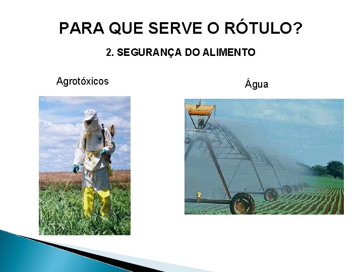 PARA QUE SERVE O RÓTULO? 2. SEGURANÇA DO ALIMENTO Agrotóxicos Água 