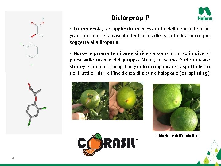 Diclorprop-P • La molecola, se applicata in prossimità della raccolte è in grado di