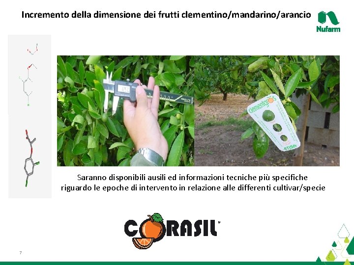 Incremento della dimensione dei frutti clementino/mandarino/arancio Saranno disponibili ausili ed informazioni tecniche più specifiche