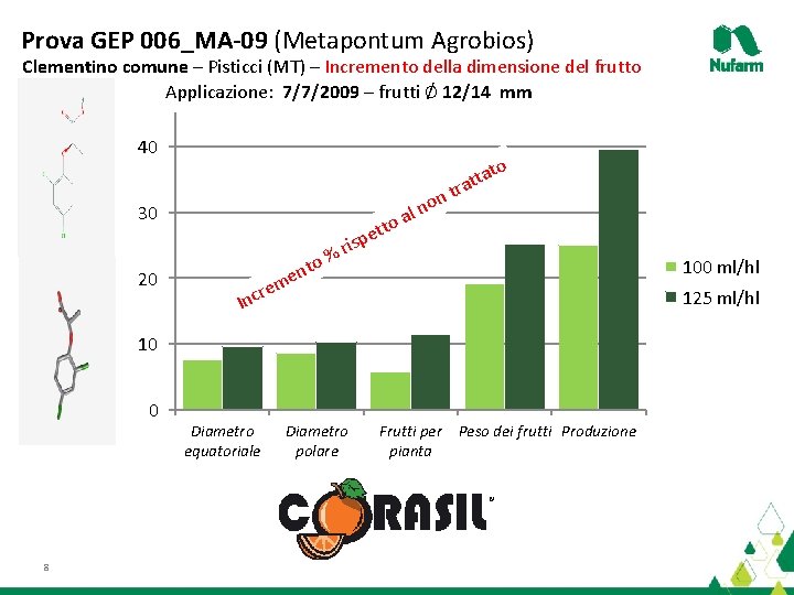 Prova GEP 006_MA-09 (Metapontum Agrobios) Clementino comune – Pisticci (MT) – Incremento della dimensione