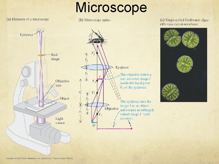 Microscope 