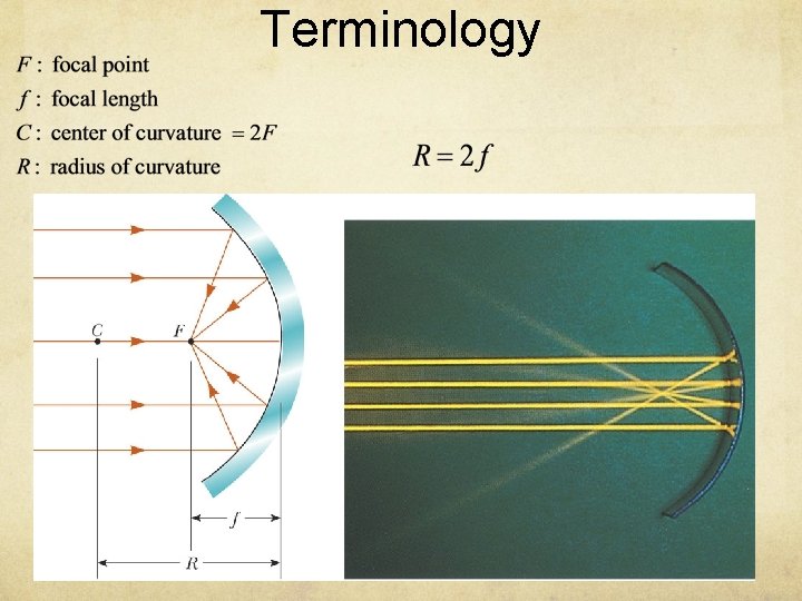 Terminology 