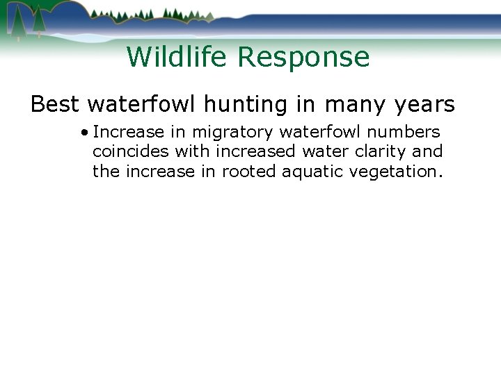 Wildlife Response Best waterfowl hunting in many years • Increase in migratory waterfowl numbers