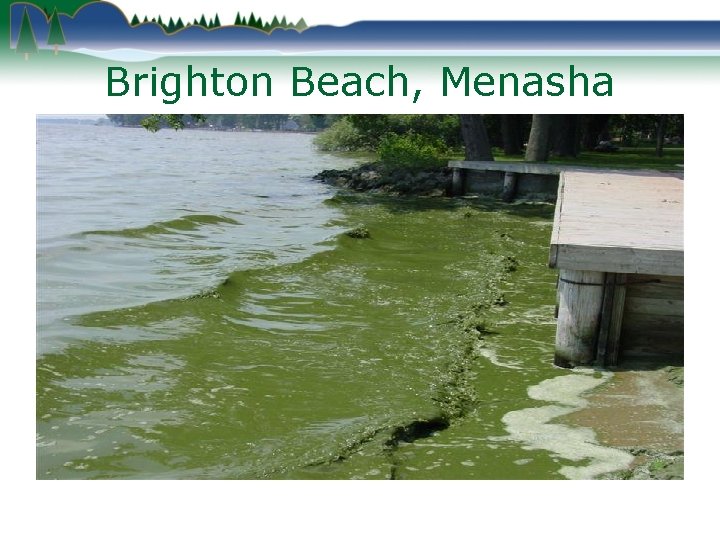 Brighton Beach, Menasha 