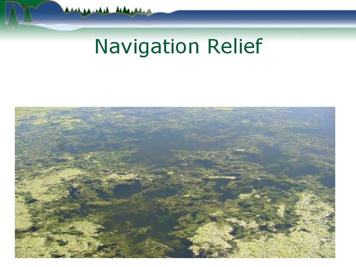 Navigation Relief 