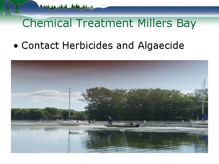Chemical Treatment Millers Bay • Contact Herbicides and Algaecide 