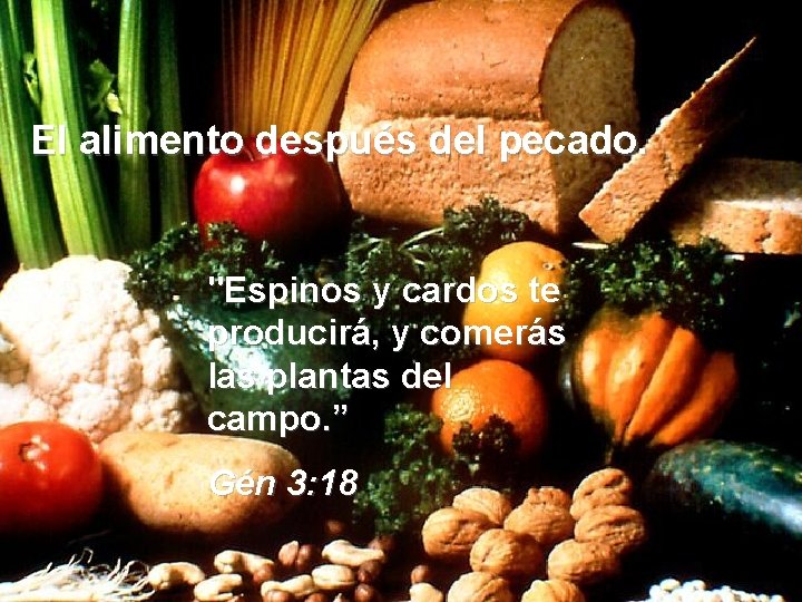 El alimento después del pecado. "Espinos y cardos te producirá, y comerás las plantas