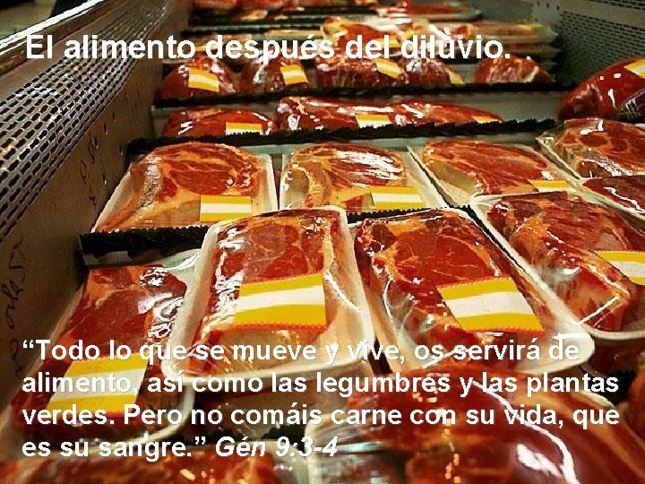 El alimento después del diluvio. “Todo lo que se mueve y vive, os servirá