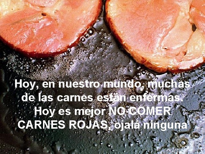 Hoy, en nuestro mundo, muchas de las carnes están enfermas. Hoy es mejor NO