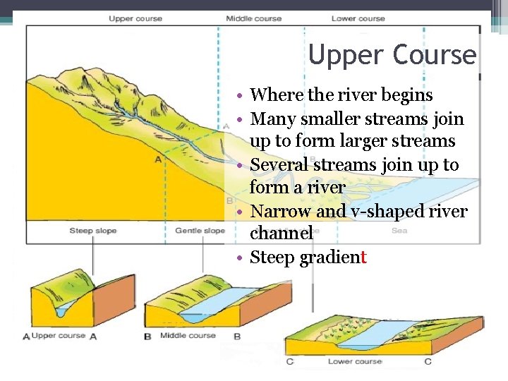 Upper Course • Where the river begins • Many smaller streams join up to Upper Course • Where the river begins • Many smaller streams join up to
