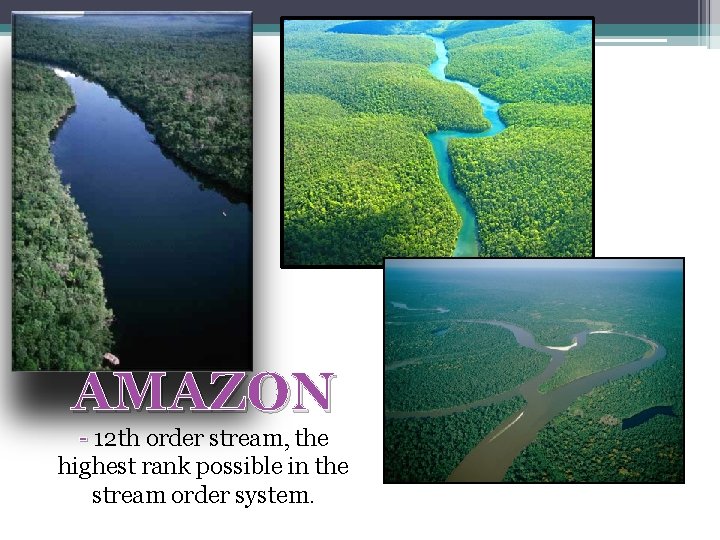 AMAZON - 12 th order stream, the - highest rank possible in the stream