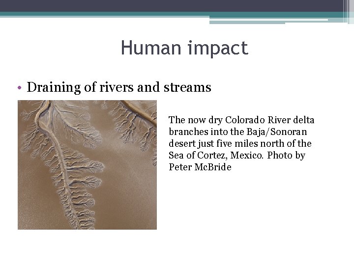 Human impact • Draining of rivers and streams The now dry Colorado River delta