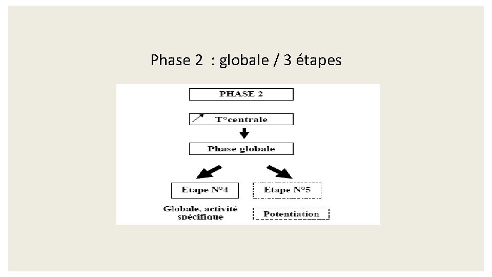 Phase 2 : globale / 3 étapes 