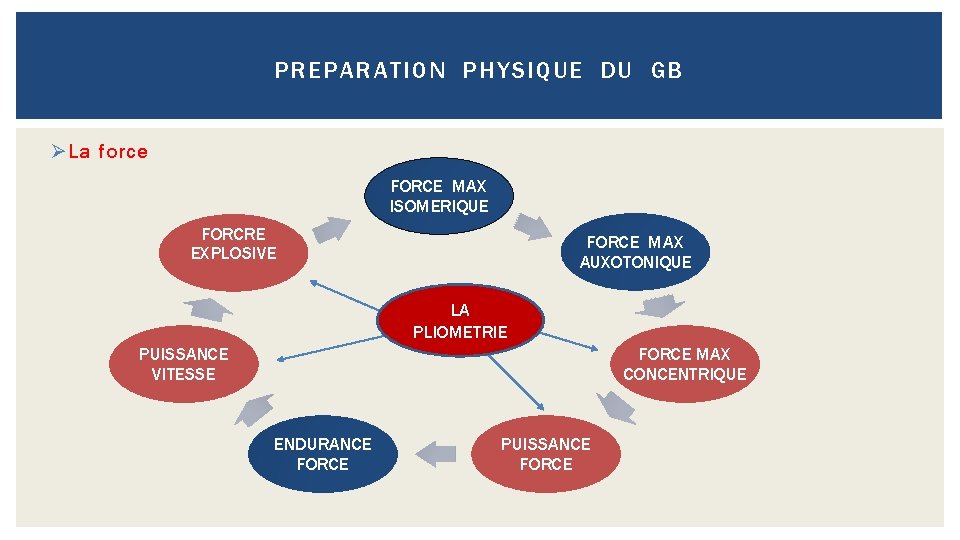PREPARATION PHYSIQUE DU GB Ø La force FORCE MAX ISOMERIQUE FORCRE EXPLOSIVE FORCE MAX
