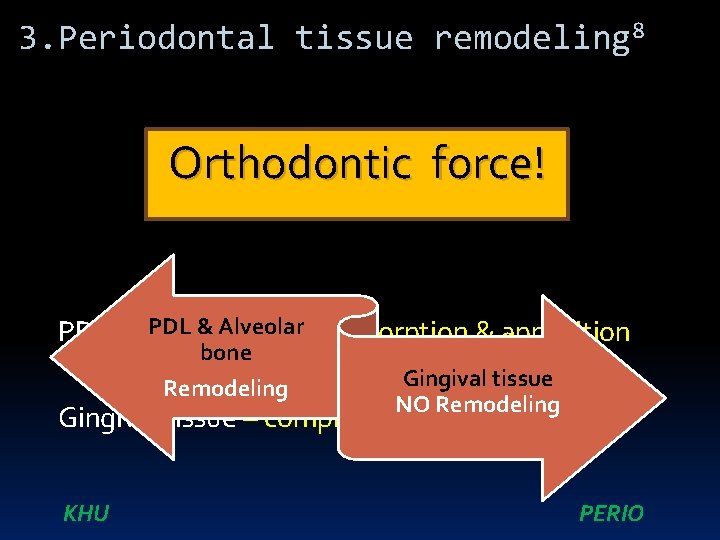 3. Periodontal tissue remodeling 8 Orthodontic force! PDL & Alveolar bone– resorption & apposition