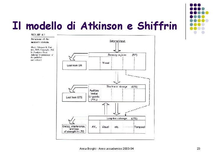 Il modello di Atkinson e Shiffrin Anna Borghi - Anno accademico 2003 -04 23