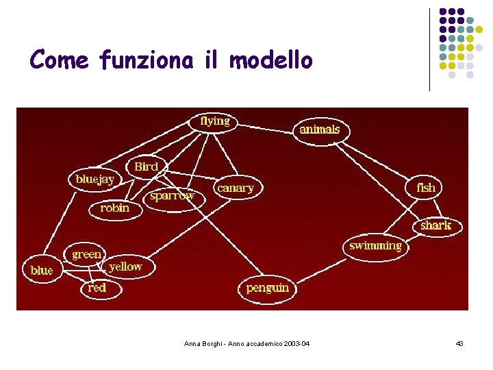 Come funziona il modello Anna Borghi - Anno accademico 2003 -04 43 