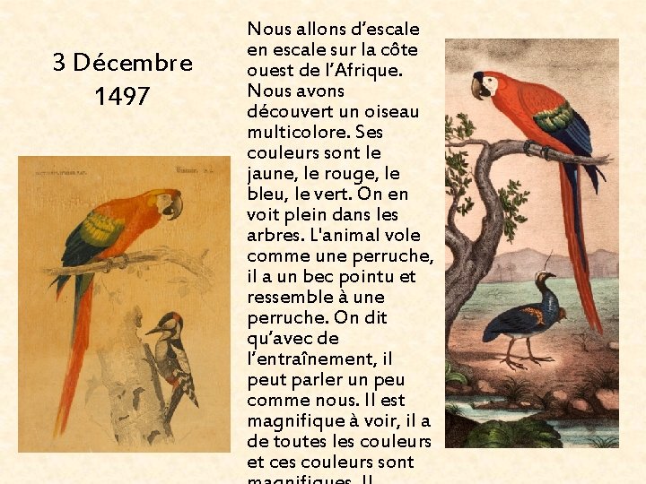 3 Décembre 1497 Nous allons d’escale en escale sur la côte ouest de l’Afrique.