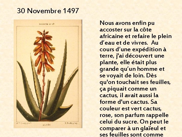 30 Novembre 1497 Nous avons enfin pu accoster sur la côte africaine et refaire