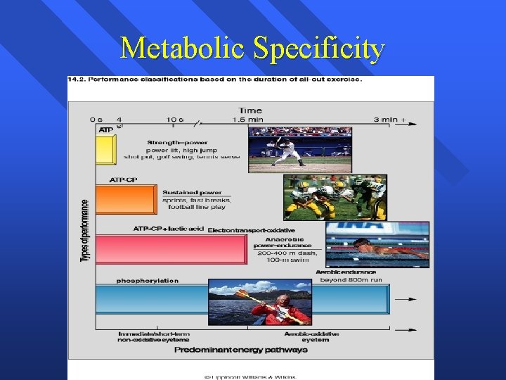 Metabolic Specificity Metabolic Specificity