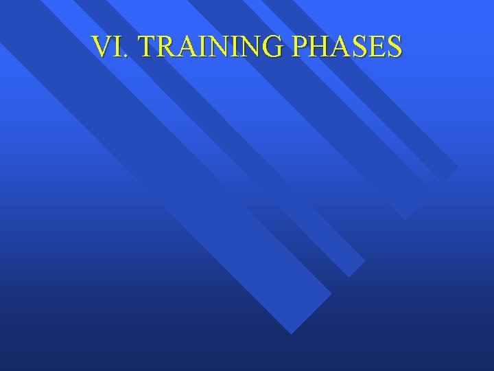 VI. TRAINING PHASES 