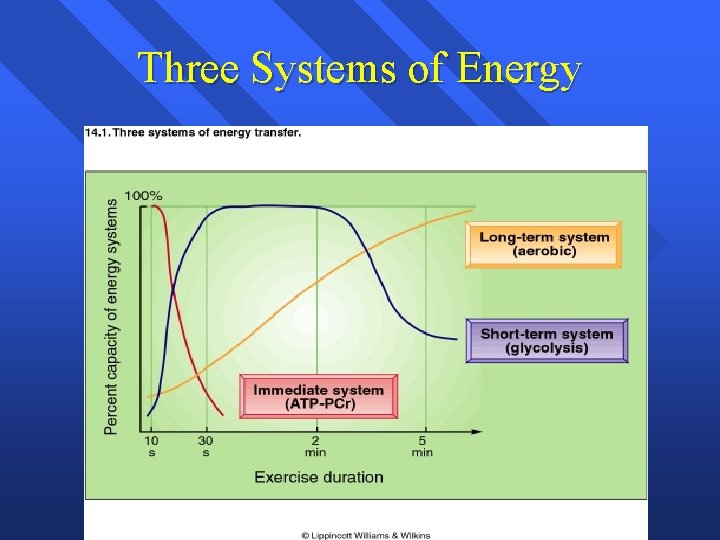 Three Systems of Energy 