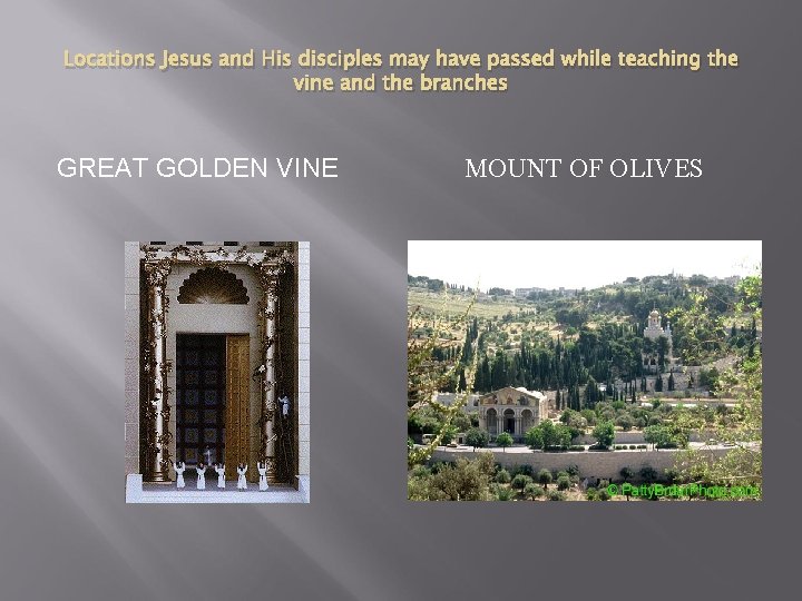 Locations Jesus and His disciples may have passed while teaching the vine and the