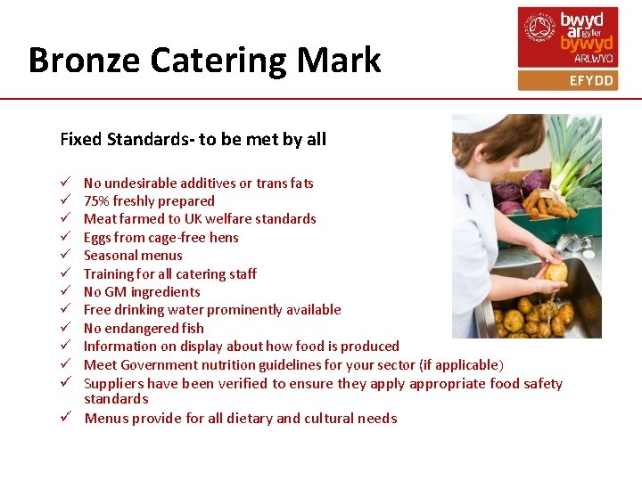 Bronze Catering Mark Fixed Standards- to be met by all ü ü ü No Bronze Catering Mark Fixed Standards- to be met by all ü ü ü No