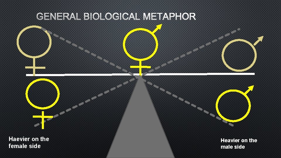 GENERAL BIOLOGICAL METAPHOR Haevier on the female side Heavier on the male side 
