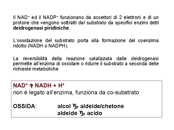Il NAD+ ed il NADP+ funzionano da accettori di 2 elettroni e di un