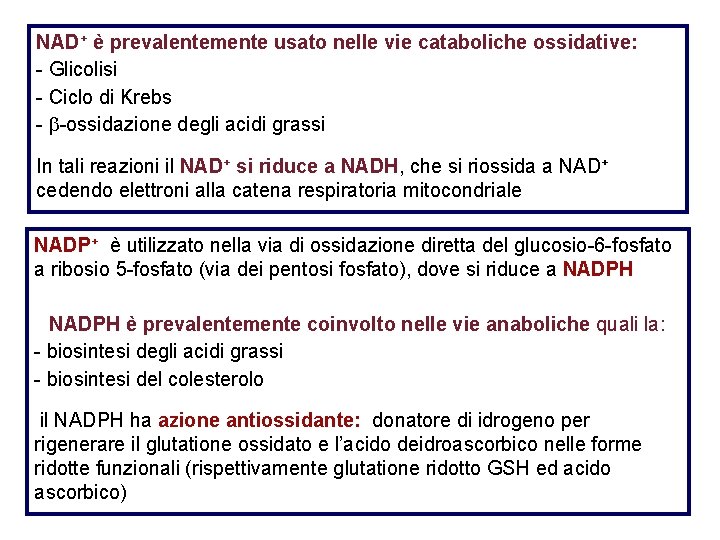 NAD+ è prevalentemente usato nelle vie cataboliche ossidative: - Glicolisi - Ciclo di Krebs