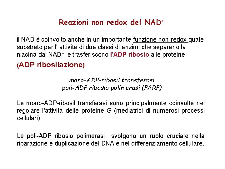 Reazioni non redox del NAD+ il NAD è coinvolto anche in un importante funzione