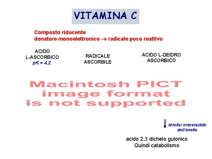 VITAMINA C Composto riducente donatore monoelettronico radicale poco reattivo ACIDO L-ASCORBICO p. K =