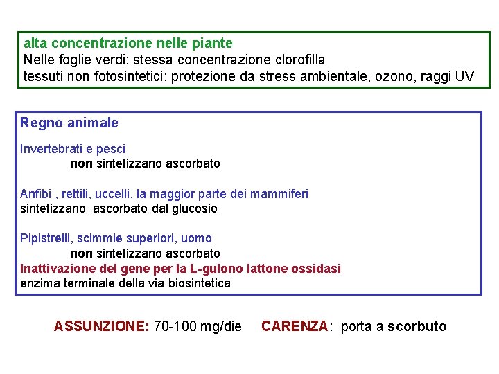 alta concentrazione nelle piante Nelle foglie verdi: stessa concentrazione clorofilla tessuti non fotosintetici: protezione