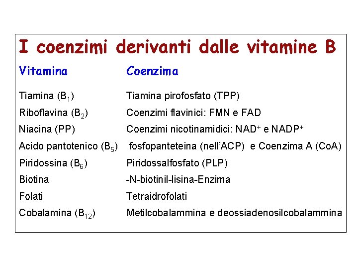 I coenzimi derivanti dalle vitamine B Vitamina Coenzima Tiamina (B 1) Tiamina pirofosfato (TPP)