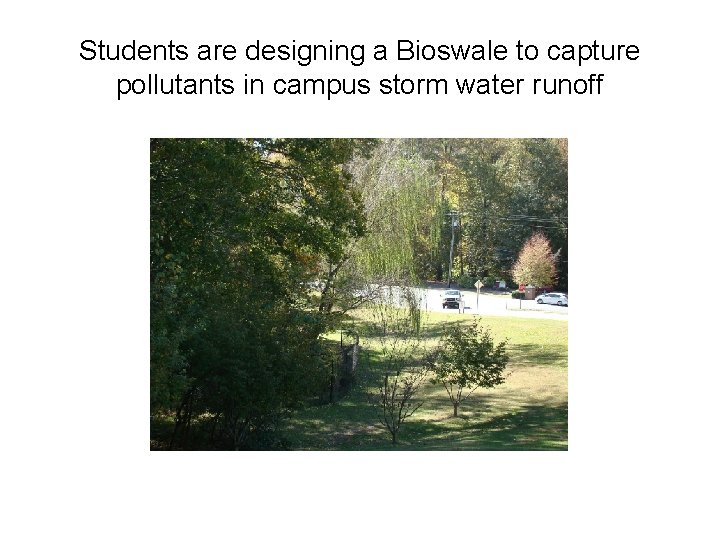 Students are designing a Bioswale to capture pollutants in campus storm water runoff 