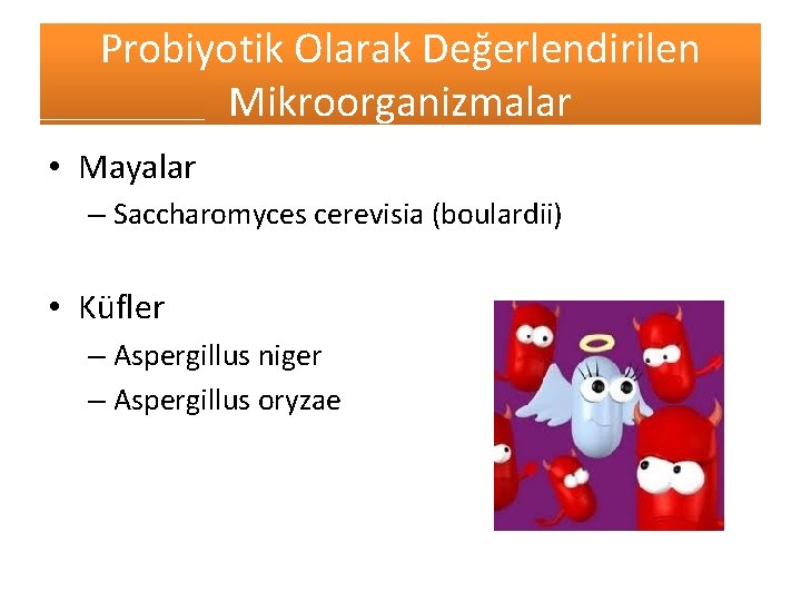Probiyotik Olarak Değerlendirilen Mikroorganizmalar • Mayalar – Saccharomyces cerevisia (boulardii) • Küfler – Aspergillus