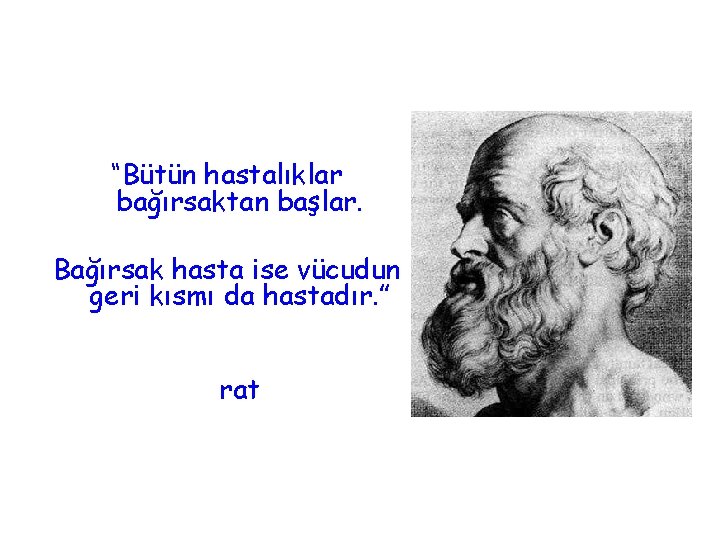 “Bütün hastalıklar bağırsaktan başlar. Bağırsak hasta ise vücudun geri kısmı da hastadır. ” rat