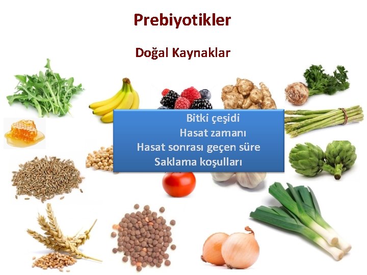 Prebiyotikler Doğal Kaynaklar Bitki çeşidi Hasat zamanı Hasat sonrası geçen süre Saklama koşulları 