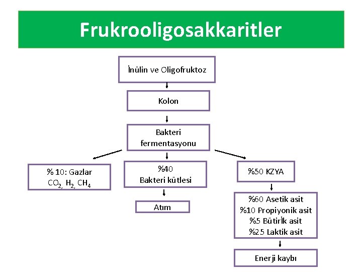 Frukrooligosakkaritler İnülin ve Oligofruktoz Kolon Bakteri fermentasyonu % 10: Gazlar CO 2, H 2,