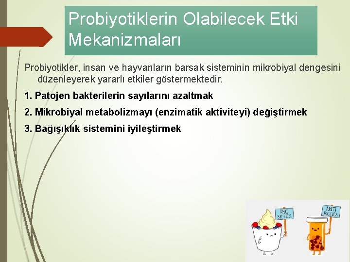 Probiyotiklerin Olabilecek Etki Mekanizmaları Probiyotikler, insan ve hayvanların barsak sisteminin mikrobiyal dengesini düzenleyerek yararlı