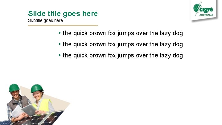 Slide title goes here Subtitle goes here • the quick brown fox jumps over
