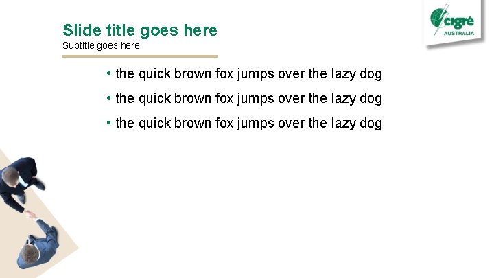 Slide title goes here Subtitle goes here • the quick brown fox jumps over