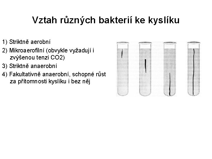 Vztah různých bakterií ke kyslíku 1) Striktně aerobní 2) Mikroaerofilní (obvykle vyžadují i zvýšenou