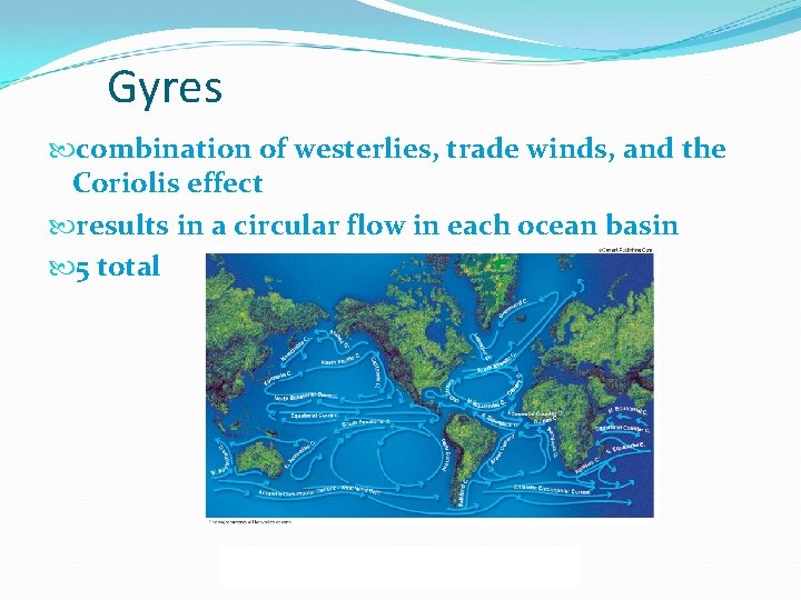 Gyres combination of westerlies, trade winds, and the Coriolis effect results in a circular